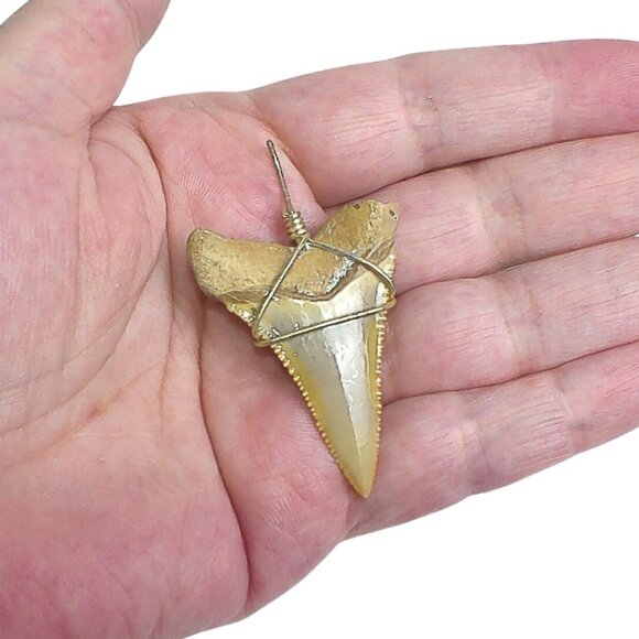 Fossilized Shark Tooth Pendant Wrapped In Silver Wire Unique Vintage Jewelry - Picture 4 of 5